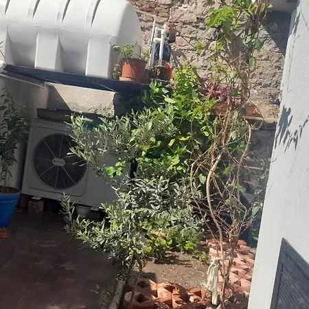 Aj Muestakil Ev Doert Odali Ayvalı